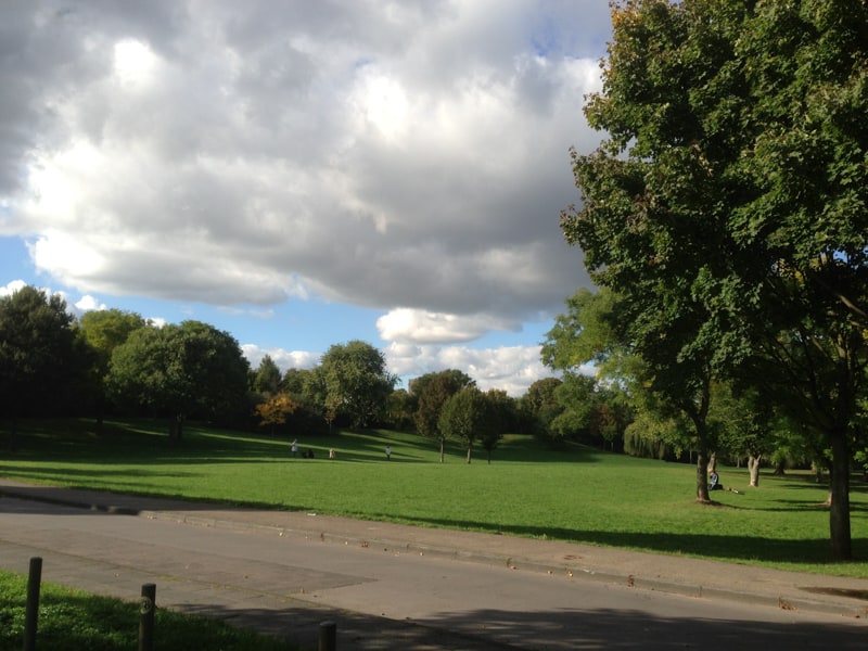 Herbstmusik in Köln