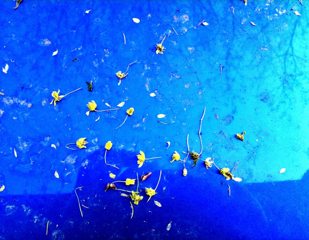 Besoffen ist nicht gleich blau